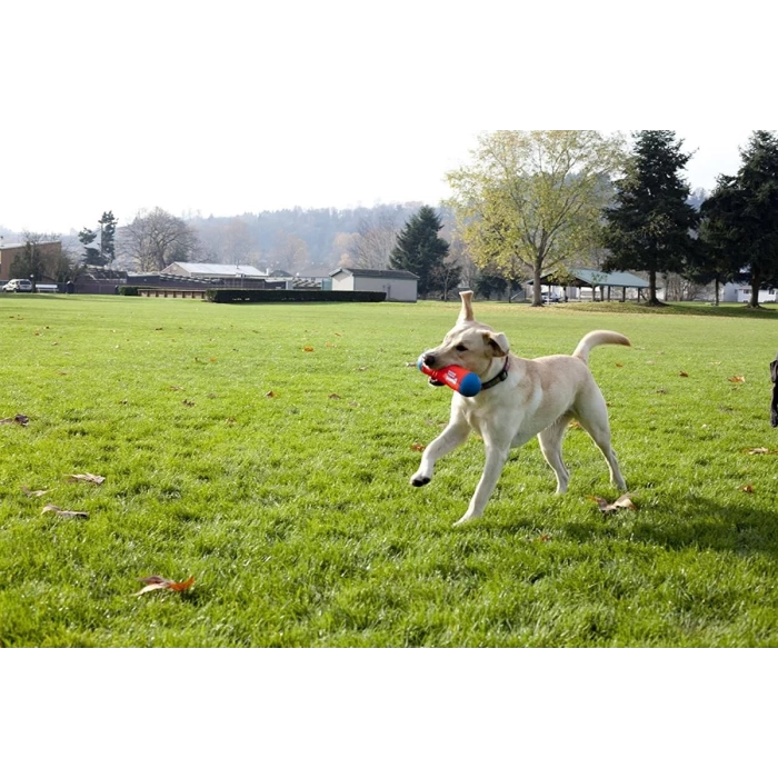 Chuckit! Amphibious Tumble Bumper Suda Yüzebilen Dayanıklı Köpek Oyuncağı