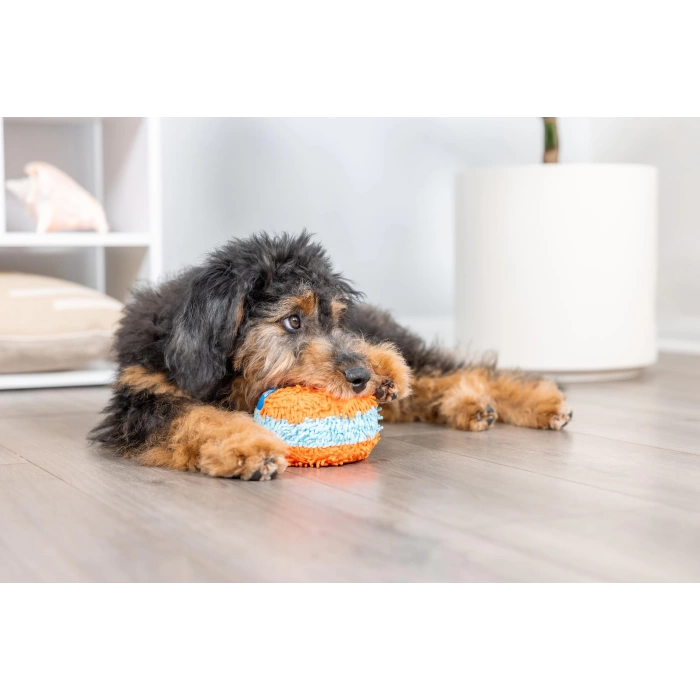 Chuckit! Indoor Roller Silindir Şekilli Ev İçi Köpek Oyuncağı 12 cm