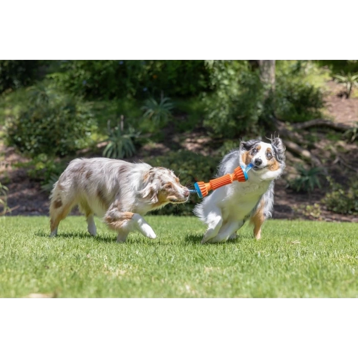 Chuckit! Rugged Dayanıklı Getirme Köpek Oyuncağı Küçük Boy 20 cm