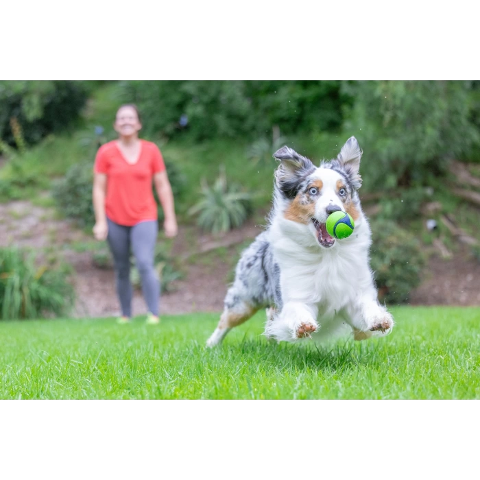 Chuckit! Sniff Fetch Fıstık Ezmesi Kokulu Köpek Oyun Topu Orta Boy