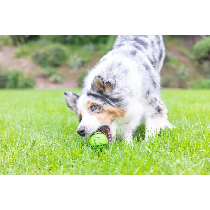 Chuckit! Sniff Fetch Fıstık Ezmesi Kokulu Köpek Oyun Topu Orta Boy