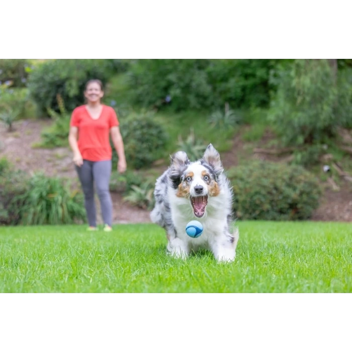 Chuckit! Sniff Fetch Jambon Kokulu Köpek Oyun Topu Orta Boy