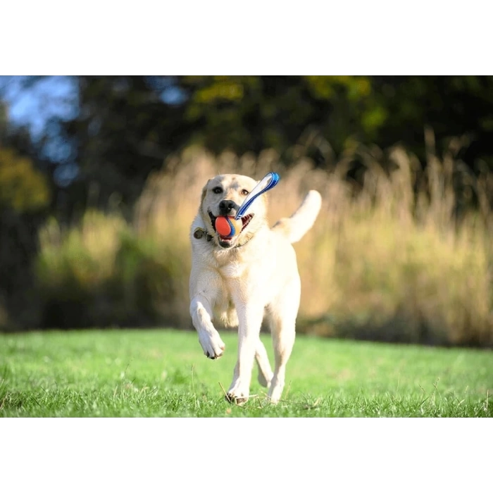 Chuckit! Ultra Duo Tug Dayanıklı Çekiştirme Köpek Oyun Topu Küçük Boy