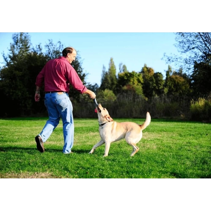 Chuckit! Ultra Duo Tug Dayanıklı Çekiştirme Köpek Oyun Topu Küçük Boy