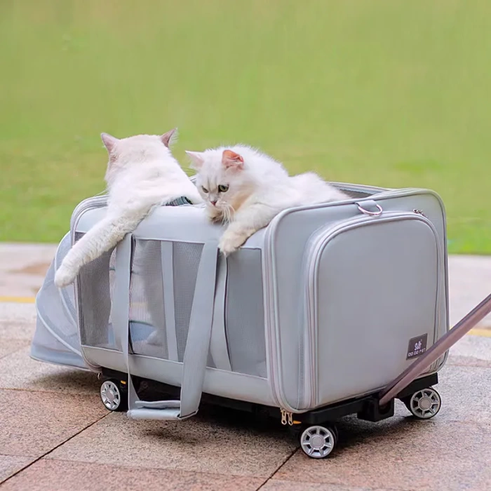 Kedi Köpek İki Taraflı Genişletilebilir ve Taşınabilir Sırt Çantası 15 Kg Kapasiteli