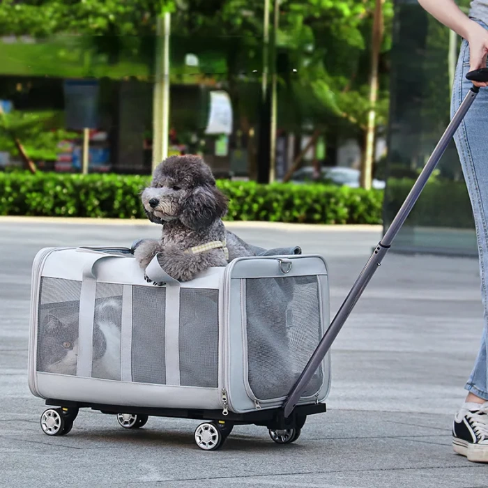 Kedi Köpek İki Taraflı Genişletilebilir ve Taşınabilir Sırt Çantası 15 Kg Kapasiteli