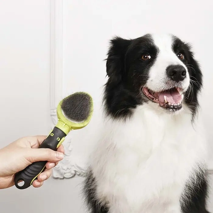 M-Pets Click And Groom Kedi ve Köpekler için İnce Telli Fırça