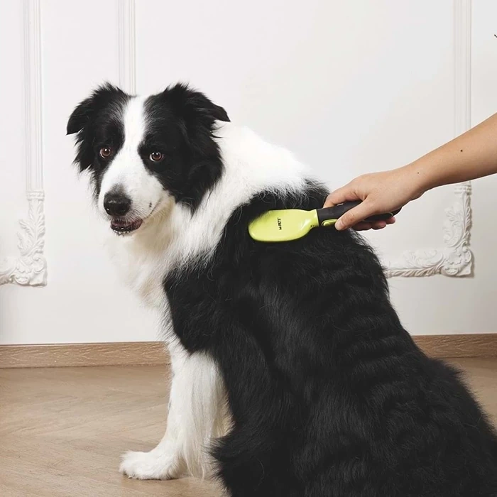 M-Pets Click And Groom Kedi ve Köpekler için Kıl Fırça