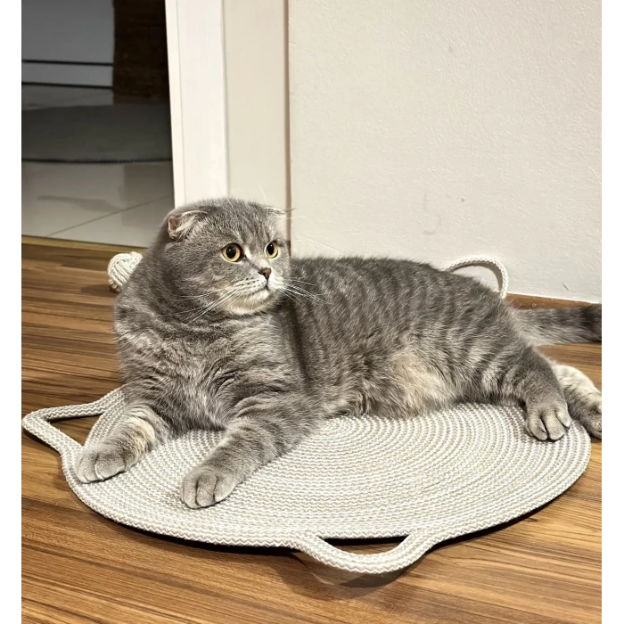 Organik İpli Kedi Tırmalama ve Beslenme Paspası 45x45 cm