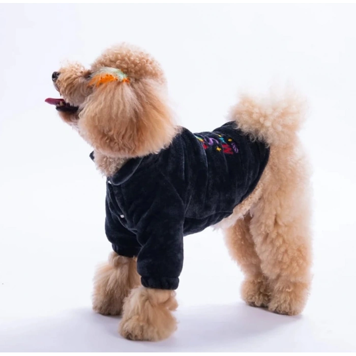 Pawstar Antrasit Jaipur Küçük Irk Köpek Peluş Ceket