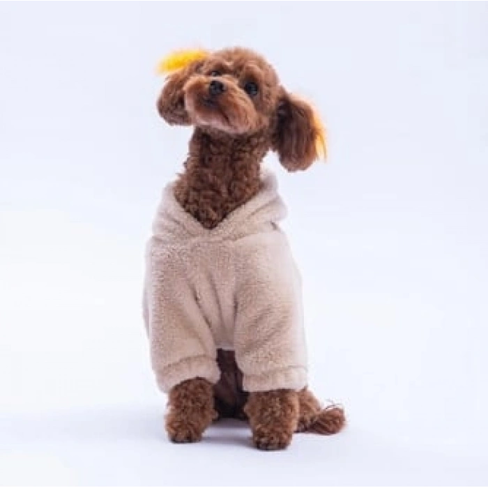 Pawstar Bej Lucca Teddy Küçük Irk Köpek Pofuduk Hoodie Sweatshirt