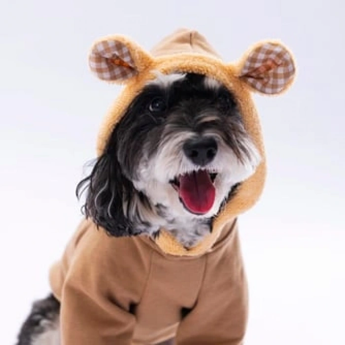 Pawstar Grizzly Küçük Irk Köpek Sweatshirt