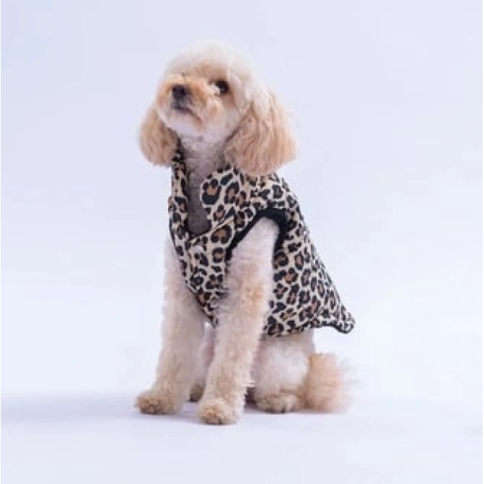 Pawstar Mbeya Gold Su İtici Küçük Irk Köpek Puf Yelek Yağmurluk