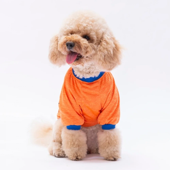 Pawstar Turuncu Everything Küçük Irk Köpek Sweatshirt