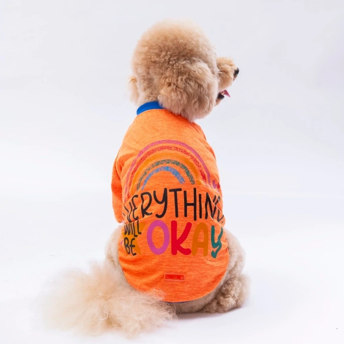 Pawstar Turuncu Everything Küçük Irk Köpek Sweatshirt