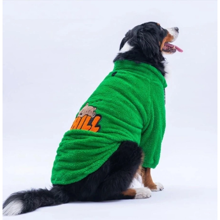 Pawstar Yeşil Oslo Chill Orta-Büyük Irk Köpek Pofuduk Sweatshirt