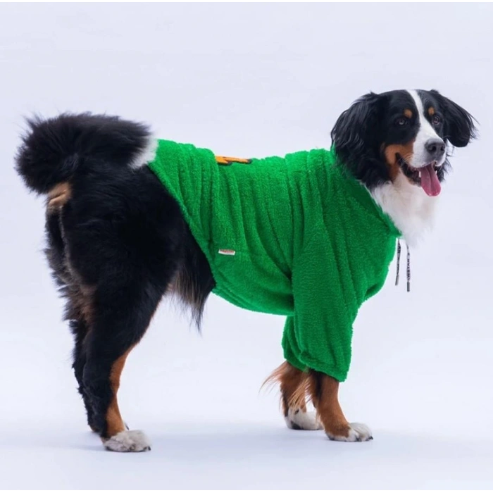 Pawstar Yeşil Oslo Chill Orta-Büyük Irk Köpek Pofuduk Sweatshirt