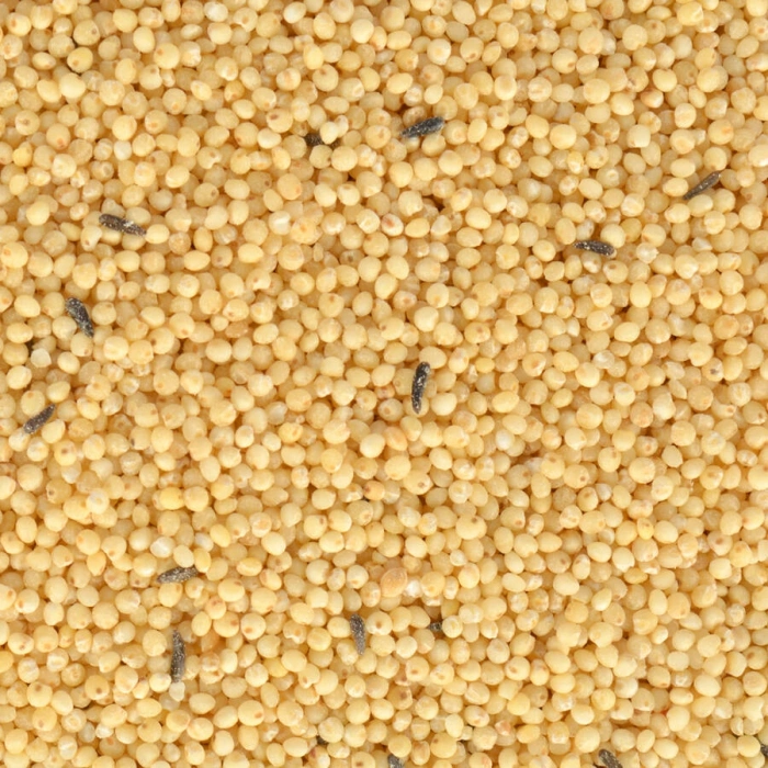 Quik Special Kabuksuz Kuş Yemi 400 gr