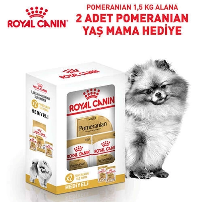 Royal Canin BOX Pomeranian Köpek Irk Maması 1.5 Kg + 2 Adet Royal Canin Pomeranian 85 Gr Yaş Mama