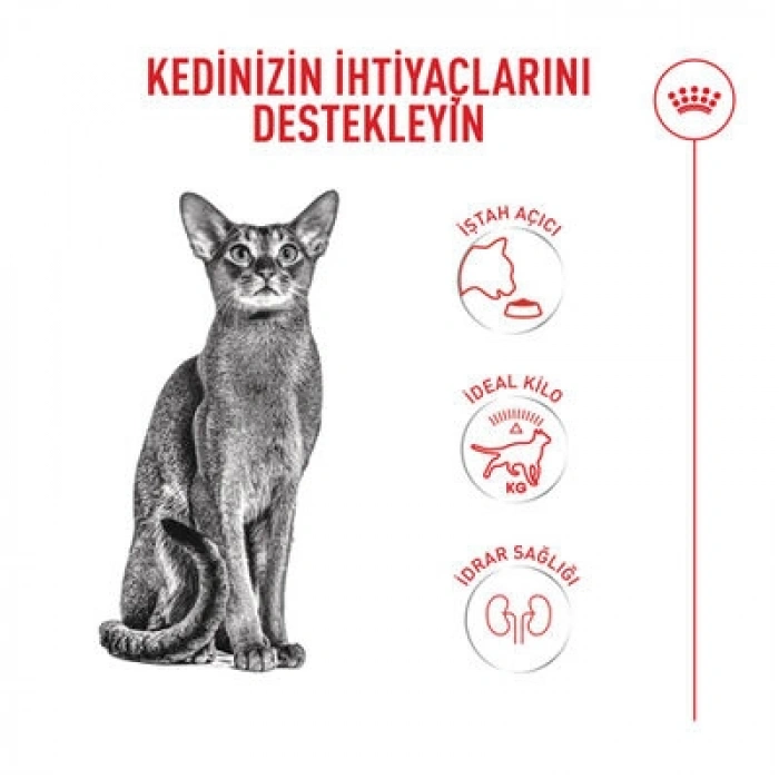 Royal Canin Fussy Exigent Seçici Kedi Maması 4 Kg