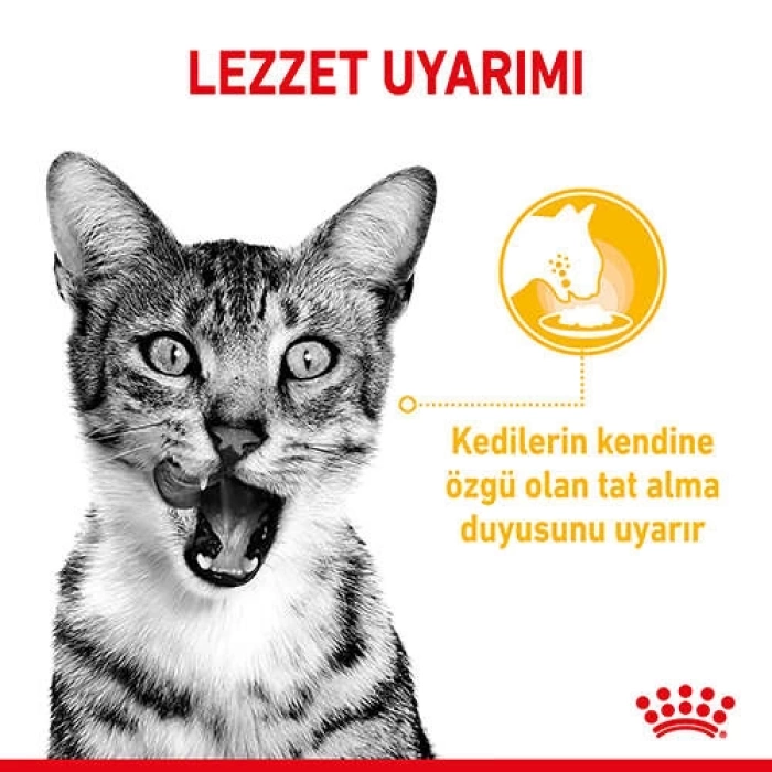 Royal Canin Sensory Taste Pouch Yaş Kedi Maması 85 Gr - 6 AL 5 ÖDE