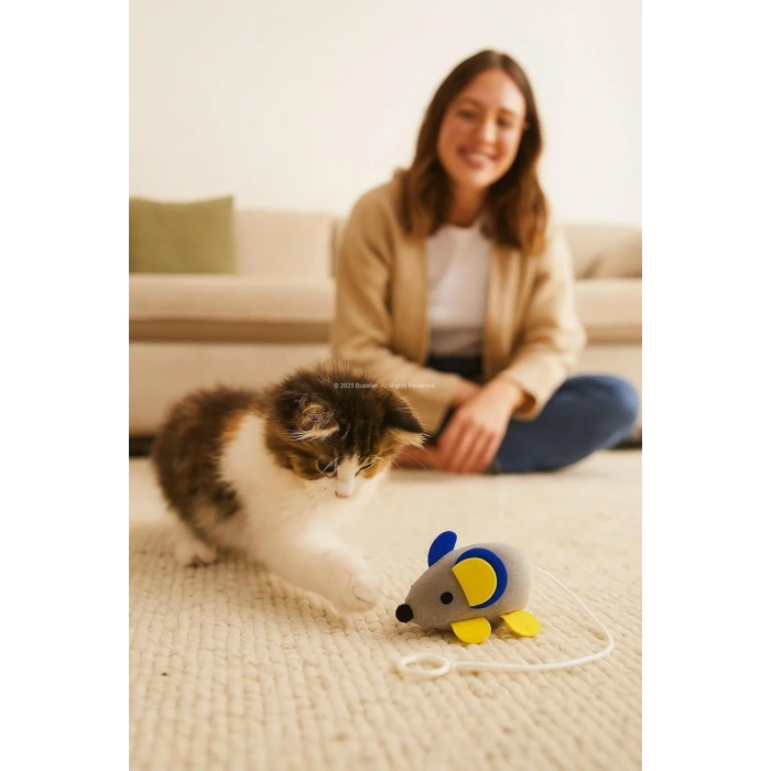 Titreşimli Çek Bırak İpli Fare Kedi Oyuncağı