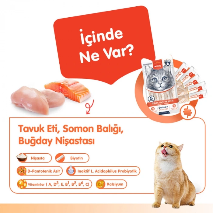 Wanpy Digestive Health Somonlu ve Tavuklu Sindirim Desteği Krema Kedi Ödül Maması 14 Gr (5li)