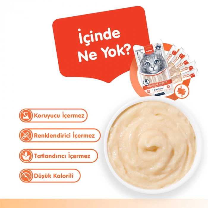 Wanpy Digestive Health Somonlu ve Tavuklu Sindirim Desteği Krema Kedi Ödül Maması 14 Gr (5li)