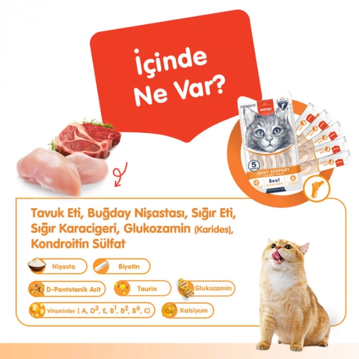 Wanpy Joint Support Sığır Etli ve Tavuklu Eklem Desteği Krema Kedi Ödül Maması 14 Gr (5li)