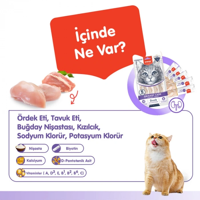 Wanpy Urinary Care Ördekli ve Tavuklu Üriner Sistem Desteği Krema Kedi Ödül Maması 14gr (5li)