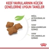 Royal Canin Kitten Sterilised Kısırlaştırılmış Yavru Kedi Maması 2 Kg