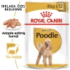 Royal Canin Pouch Poodle Irkı Özel Yaş Köpek Maması 85 Gr - 6 AL 5 ÖDE