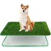 Tekrar Kullanılabilir Köpek Tuvalet Eğitim Halısı M 46x58 cm