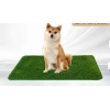 Tekrar Kullanılabilir Köpek Tuvalet Eğitim Halısı M 46x58 cm