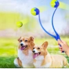Tenis Toplu İnteraktif Fırlatıcı Top Atma Köpek Oyuncağı