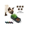 Pet Soft Yeni Nesil Mama ve Topraksız Kedi Çimi Kabı