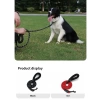 Bobo Köpek Gezdirme Kayışı 150x1.2 Cm
