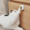Catnipli Kedi Nanesi Topu Yapıştırmalı