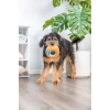 Chuckit! Indoor Roller Silindir Şekilli Ev İçi Köpek Oyuncağı 12 cm