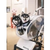 Katlanabilir Kedi Küçük ve Orta Irk Evcil Hayvan Arabası 15 Kg Kapasiteli