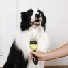 M-Pets Click And Groom Kedi ve Köpekler için Kıtık Açıcı Tarak