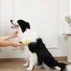 M-Pets Click And Groom Kedi ve Köpekler için Masaj Uçlu Fırça