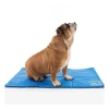 M-Pets Frozen Köpek Serinletici Soğutucu Mat L 90x50 Cm