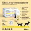 OneVet Kedi Köpek Multi Vitamin Şurup 50 ml