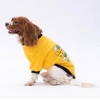 Pawstar Yellow Loviisa Polarlı Küçük Irk Köpek Sweatshirt