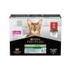 Pro Plan Pouch Gravy Sterilised Sos İçinde Kuzu Etli Kedi Yaş Maması 85 Gr x 10 Adet