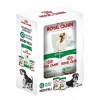 Royal Canin Mini Adult Yetişkin Küçük Irk Yetişkin Köpek Maması 2 Kg + 2 Adet Mini Adult Yaş Mama 85 Gr HEDİYELİ!