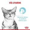 Royal Canin Sensory Feel Pouch Yaş Kedi Maması 85 Gr - 6 AL 5 ÖDE