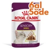 Royal Canin Sensory Smell Pouch Yaş Kedi Maması 85 Gr - 6 AL 5 ÖDE