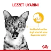 Royal Canin Sensory Taste Pouch Yaş Kedi Maması 85 Gr